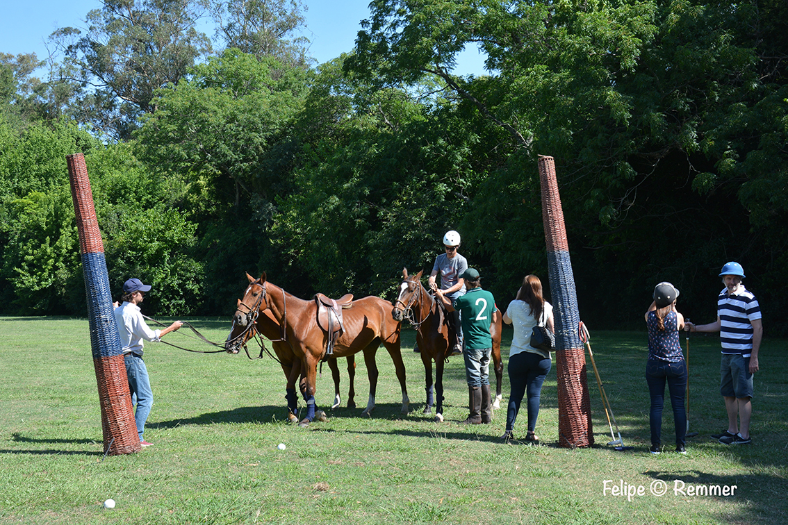 Express polo lesson