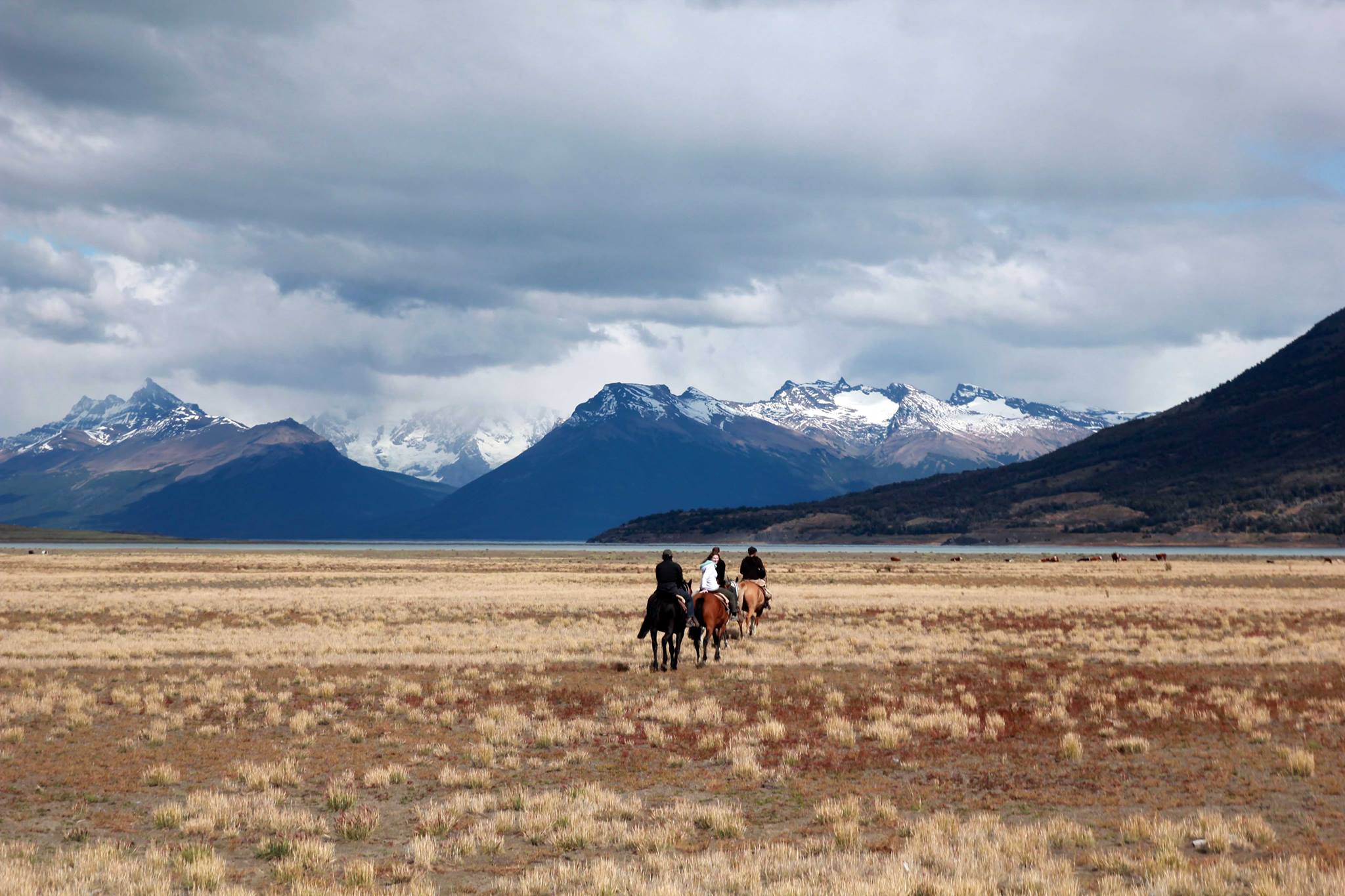 Into the wild